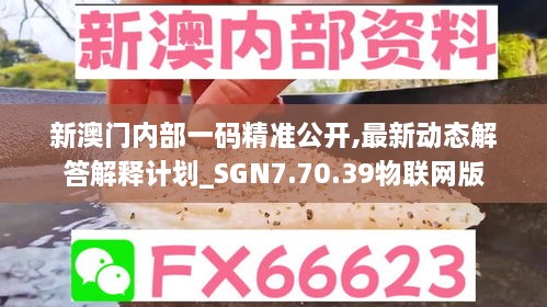 新澳门内部一码精准公开,最新动态解答解释计划_SGN7.70.39物联网版