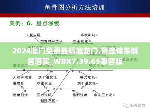 2024澳门免费最精准龙门,管理体系解答落实_WBX7.39.65兼容版