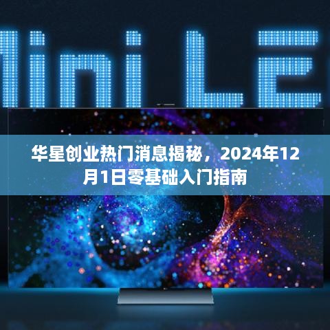 华星创业热门消息揭秘，零基础入门指南（附时间节点2024年12月1日）