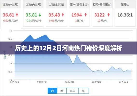 河南热门猪价深度解析，历史12月2日的回顾与洞察
