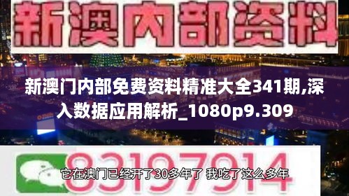 新澳门内部免费资料精准大全341期,深入数据应用解析_1080p9.309