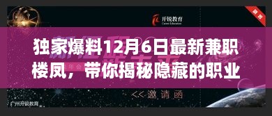 揭秘兼职楼凤背后的秘密，探索隐藏职业机遇，轻松赚取额外收入！