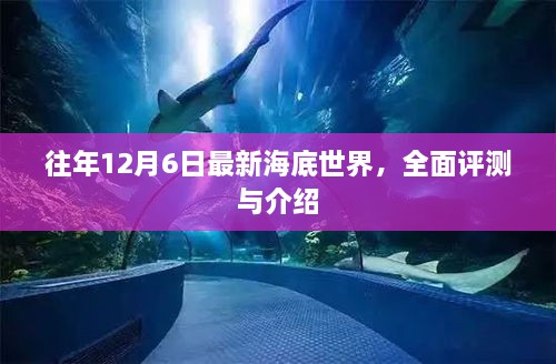 全面评测与介绍，最新海底世界探索之旅（往年12月6日）