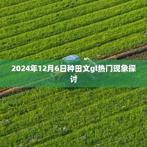 2024年12月8日 第21页