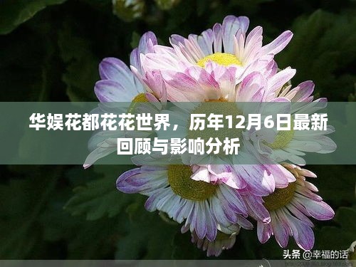 华娱花都历年12月6日回顾与影响分析，探寻花花世界的最新动态