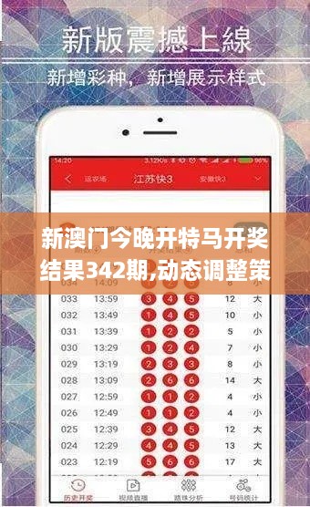 新澳门今晚开特马开奖结果342期,动态调整策略执行_DX版13.919