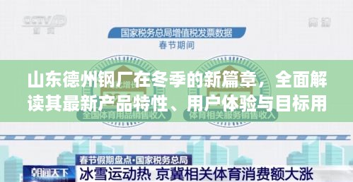 山东德州钢厂冬季新篇章，产品特性、用户体验与目标用户群体深度解析