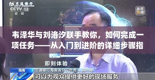 韦泽华与刘洛汐联手打造，任务完成进阶指南——从新手到熟练者的详细步骤教程