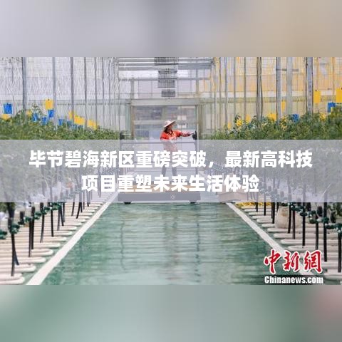 毕节碧海新区高科技项目突破重塑未来生活体验