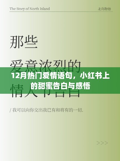 小红书热门爱情告白与感悟，甜蜜语句集结，12月的恋爱物语