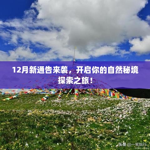 12月新通告，自然秘境探索之旅开启！