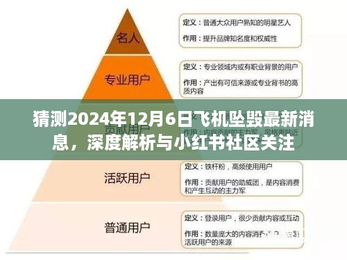 深度解析，预测2024年12月6日飞机坠毁事件及小红书社区关注热议