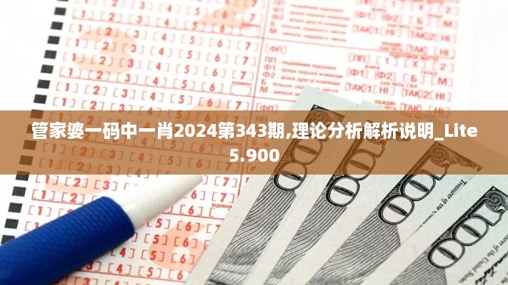 管家婆一码中一肖2024第343期,理论分析解析说明_Lite5.900