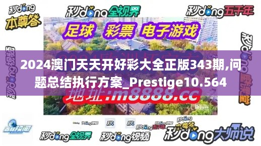 2024澳门天天开好彩大全正版343期,问题总结执行方案_Prestige10.564