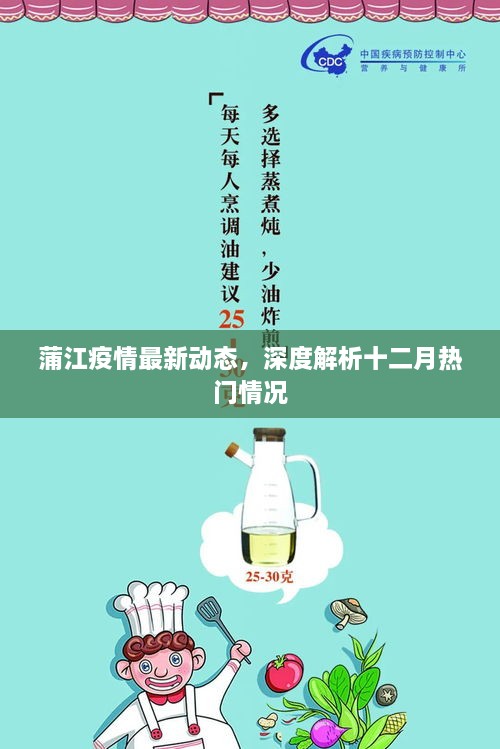 蒲江疫情最新动态深度解析，十二月疫情形势分析