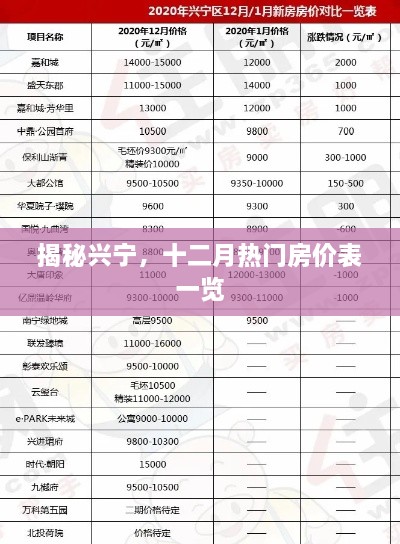 2024年12月8日 第4页