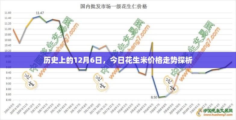 今日花生米价格走势探析，历史视角下的深度分析（12月6日）