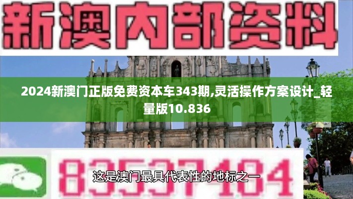 2024新澳门正版免费资本车343期,灵活操作方案设计_轻量版10.836