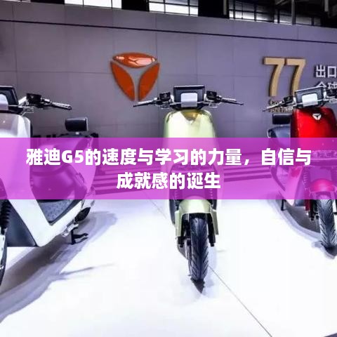 雅迪G5，速度与学习的力量，成就自信之路