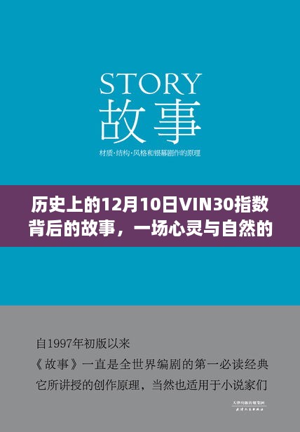 历史上的VIN30指数背后的故事，心灵与自然的遨游之旅