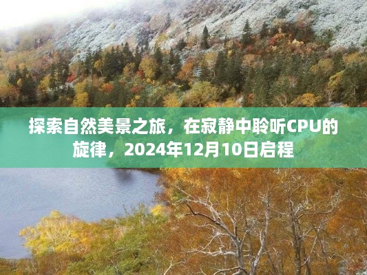 2024年12月12日 第32页