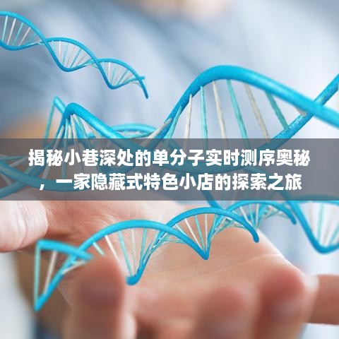 探索隐藏小巷，单分子实时测序奥秘揭秘的特色小店之旅