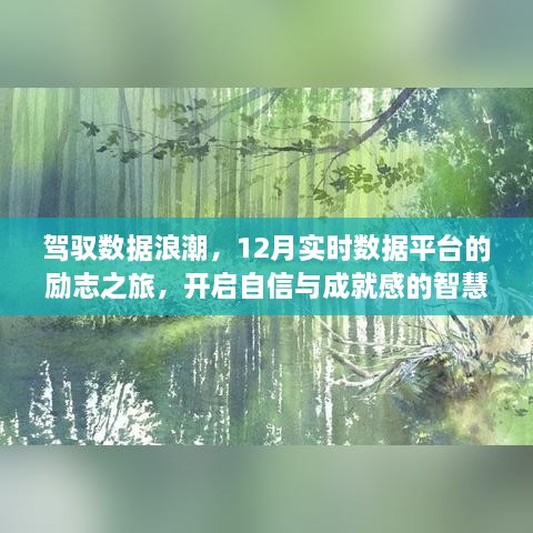 驾驭数据浪潮，开启实时数据平台励志之旅，智慧之门照亮自信与成就感之路