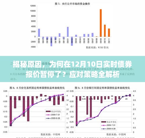 揭秘实时债券报价暂停原因及应对策略解析，12月10日市场观察