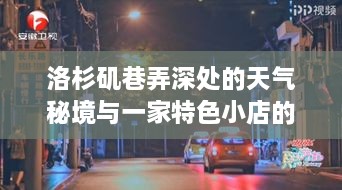 洛杉矶巷弄深处的天气秘境与独特小店的惊喜邂逅