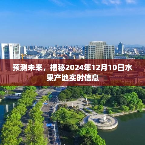 2024年12月12日 第26页