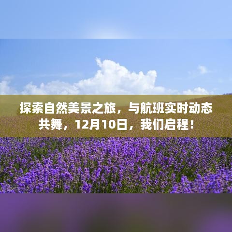 启程！探索自然美景之旅与航班实时动态共舞，启程日期，12月10日