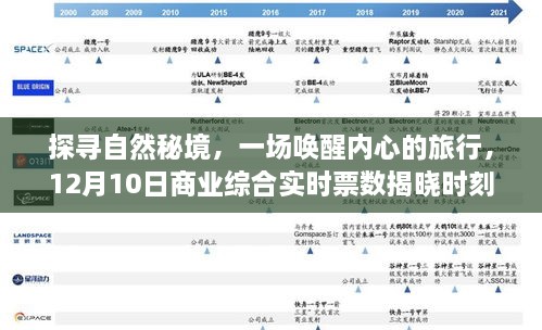 揭秘自然秘境之旅，唤醒内心的探索，实时票数揭晓在即