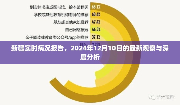 新疆实时病况报告深度观察与分析，最新观察报告（2024年12月10日）