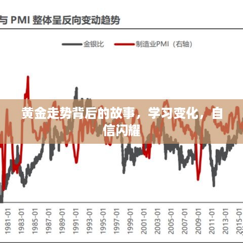 黄金走势背后的故事，洞悉变化，自信闪耀投资之路