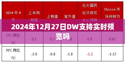 DW实时预览功能支持及未来展望