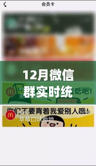 12月微信群实时统计揭示社交繁荣与变迁新趋势