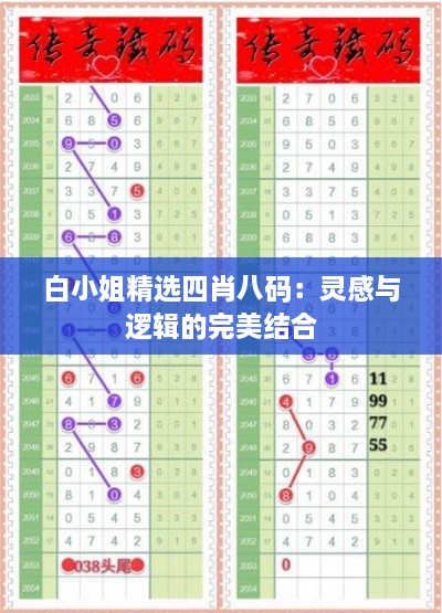 白小姐精选四肖八码：灵感与逻辑的完美结合