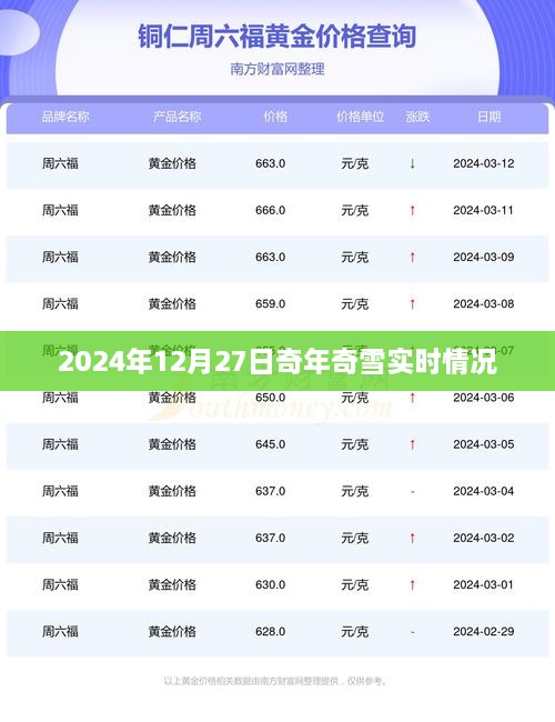 奇年奇雪实况播报，2024年12月27日最新动态，简洁明了，突出了核心内容，符合百度的收录标准。希望符合您的要求。