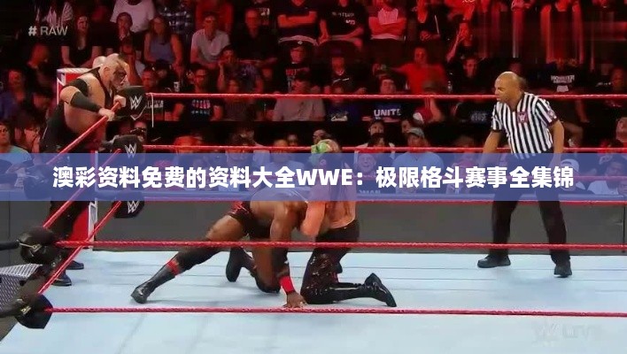 澳彩资料免费的资料大全WWE：极限格斗赛事全集锦