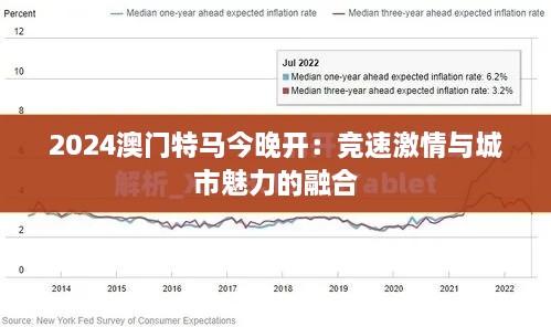 2024澳门特马今晚开：竞速激情与城市魅力的融合