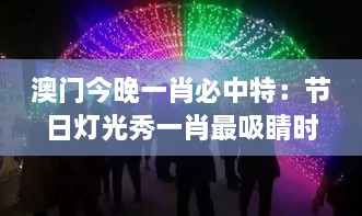 澳门今晚一肖必中特：节日灯光秀一肖最吸睛时刻