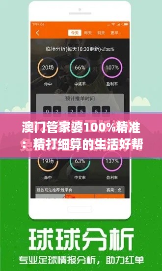 澳门管家婆100%精准：精打细算的生活好帮手