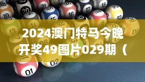 2024澳门特马今晚开奖49图片029期（毕业论文文献综述）