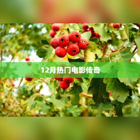 传奇！12月热门电影盘点