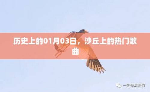 历史上的1月3日，沙丘上的流行金曲