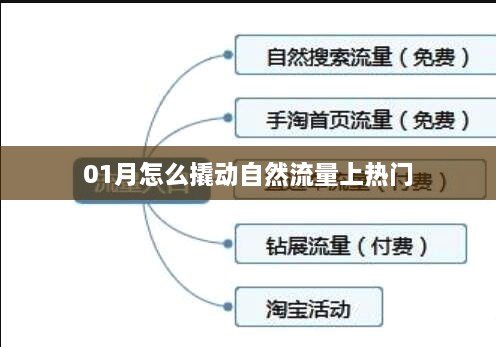 一月流量撬动术，自然流量优化秘诀助你轻松上热门