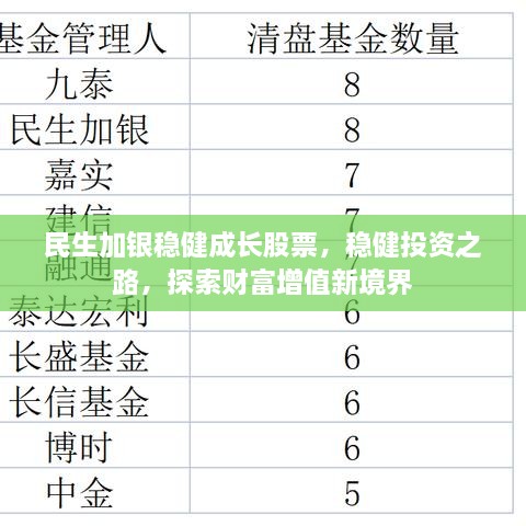 民生加银稳健成长股票，稳健投资之路，探索财富增值新境界