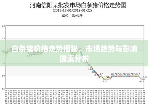 白条猪价格走势揭秘，市场趋势与影响因素分析