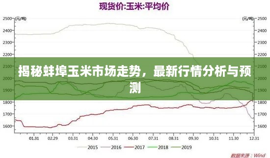 揭秘蚌埠玉米市场走势，最新行情分析与预测