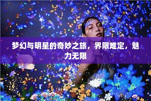 梦幻与明星的奇妙之旅，界限难定，魅力无限